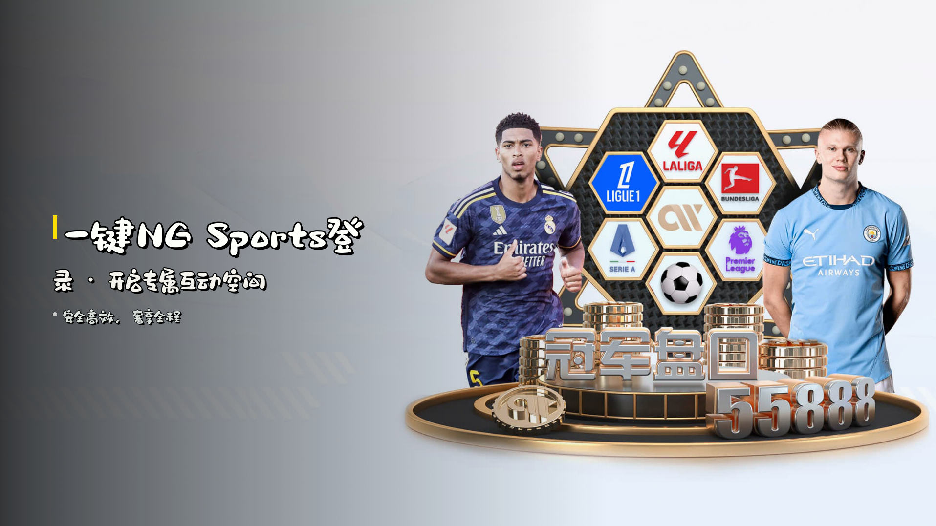 一键<strong>NG Sports登录</strong> · 开启专属互动空间